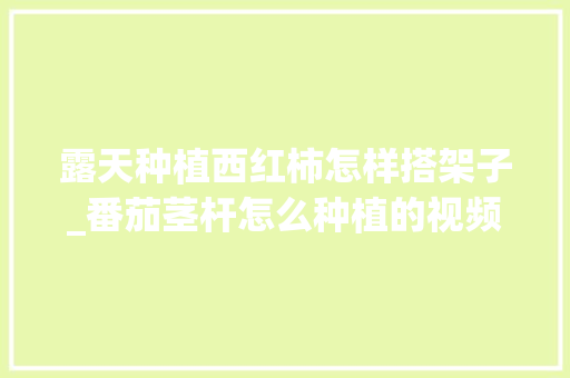露天种植西红柿怎样搭架子_番茄茎杆怎么种植的视频 露天种植西红柿怎样搭架子_番茄茎杆怎么种植的视频 番茄种植技巧
