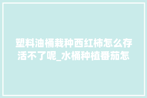 塑料油桶栽种西红柿怎么存活不了呢_水桶种植番茄怎么种植的 塑料油桶栽种西红柿怎么存活不了呢_水桶种植番茄怎么种植的 花朵知识