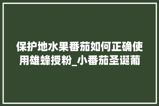 保护地水果番茄如何正确使用雄蜂授粉_小番茄圣诞葡萄怎么种植视频 保护地水果番茄如何正确使用雄蜂授粉_小番茄圣诞葡萄怎么种植视频 种植技巧