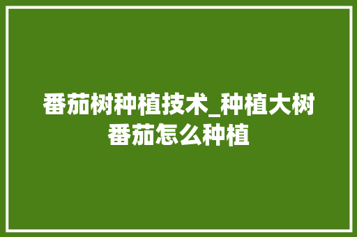 番茄树种植技术_种植大树番茄怎么种植 番茄树种植技术_种植大树番茄怎么种植 植物种类