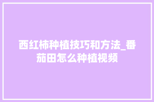 西红柿种植技巧和方法_番茄田怎么种植视频 西红柿种植技巧和方法_番茄田怎么种植视频 土壤施肥