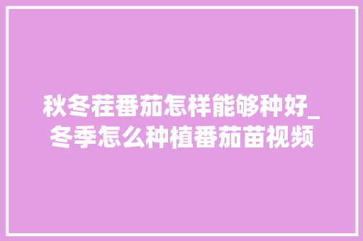 秋冬茬番茄怎样能够种好_冬季怎么种植番茄苗视频 秋冬茬番茄怎样能够种好_冬季怎么种植番茄苗视频 番茄种植技巧