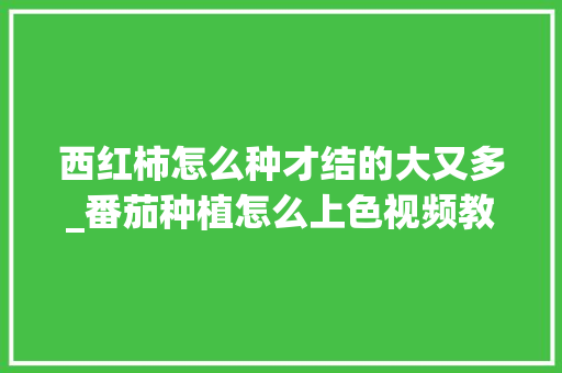西红柿怎么种才结的大又多_番茄种植怎么上色视频教程 西红柿怎么种才结的大又多_番茄种植怎么上色视频教程 植物种类