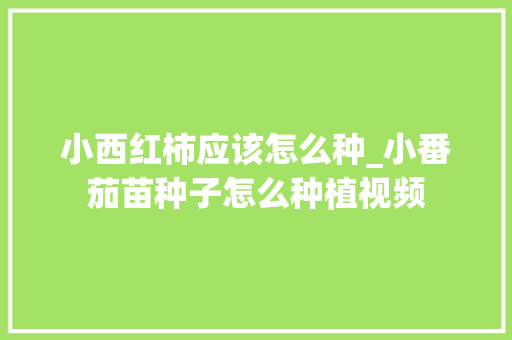 小西红柿应该怎么种_小番茄苗种子怎么种植视频 小西红柿应该怎么种_小番茄苗种子怎么种植视频 种植技巧