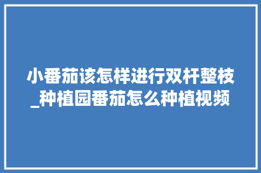 小番茄该怎样进行双杆整枝_种植园番茄怎么种植视频教程 小番茄该怎样进行双杆整枝_种植园番茄怎么种植视频教程 土壤施肥