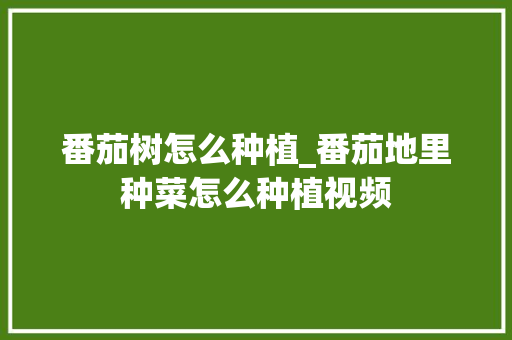 番茄树怎么种植_番茄地里种菜怎么种植视频 番茄树怎么种植_番茄地里种菜怎么种植视频 植物种类