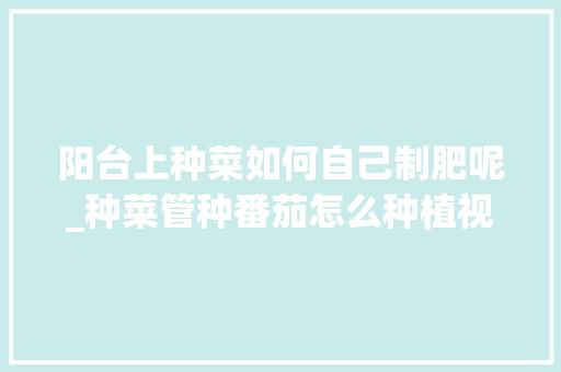 阳台上种菜如何自己制肥呢_种菜管种番茄怎么种植视频