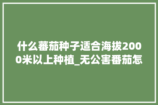 什么蕃茄种子适合海拔2000米以上种植_无公害番茄怎么种植方法视频 什么蕃茄种子适合海拔2000米以上种植_无公害番茄怎么种植方法视频 农业常识