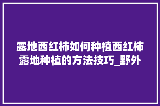 露地西红柿如何种植西红柿露地种植的方法技巧_野外番茄怎么种植方法视频 露地西红柿如何种植西红柿露地种植的方法技巧_野外番茄怎么种植方法视频 番茄病虫害防治