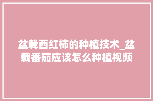 盆栽西红柿的种植技术_盆栽番茄应该怎么种植视频 盆栽西红柿的种植技术_盆栽番茄应该怎么种植视频 花朵知识
