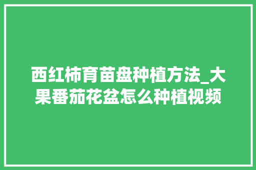西红柿育苗盘种植方法_大果番茄花盆怎么种植视频 西红柿育苗盘种植方法_大果番茄花盆怎么种植视频 种植技巧