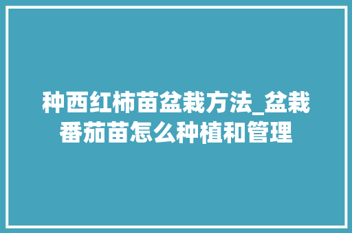 种西红柿苗盆栽方法_盆栽番茄苗怎么种植和管理 种西红柿苗盆栽方法_盆栽番茄苗怎么种植和管理 番茄种植技巧