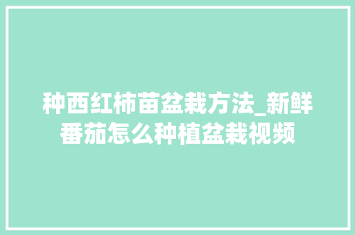 种西红柿苗盆栽方法_新鲜番茄怎么种植盆栽视频 花朵知识 种西红柿苗盆栽方法_新鲜番茄怎么种植盆栽视频 种西红柿苗盆栽方法_新鲜番茄怎么种植盆栽视频 花朵知识
