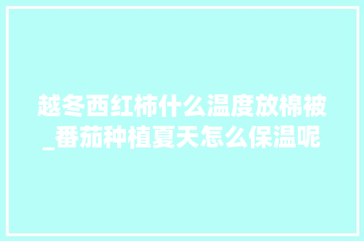 越冬西红柿什么温度放棉被_番茄种植夏天怎么保温呢视频 越冬西红柿什么温度放棉被_番茄种植夏天怎么保温呢视频 番茄种植技巧