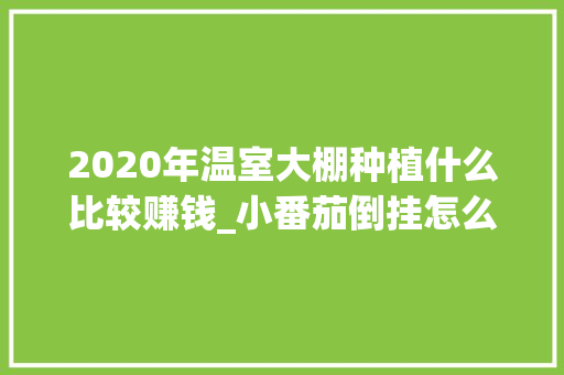 2020年温室大棚种植什么比较赚钱_小番茄倒挂怎么种植视频教程 2020年温室大棚种植什么比较赚钱_小番茄倒挂怎么种植视频教程 番茄种植技巧