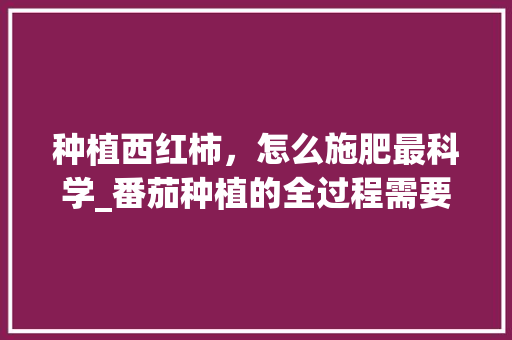 种植西红柿，怎么施肥最科学_番茄种植的全过程需要怎样施肥 种植西红柿，怎么施肥最科学_番茄种植的全过程需要怎样施肥 土壤施肥