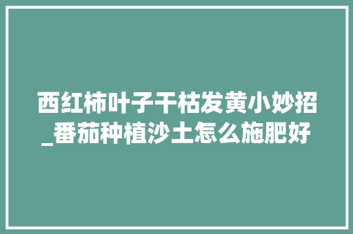 西红柿叶子干枯发黄小妙招_番茄种植沙土怎么施肥好呢