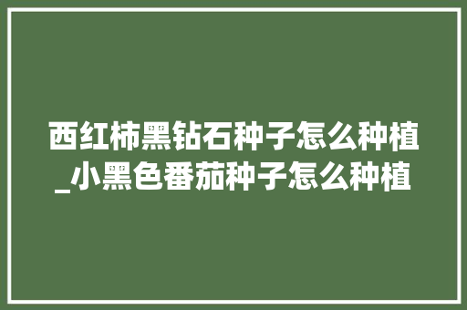 西红柿黑钻石种子怎么种植_小黑色番茄种子怎么种植的 西红柿黑钻石种子怎么种植_小黑色番茄种子怎么种植的 番茄种植技巧