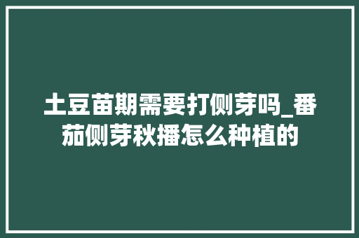 土豆苗期需要打侧芽吗_番茄侧芽秋播怎么种植的 土豆苗期需要打侧芽吗_番茄侧芽秋播怎么种植的 种植技巧
