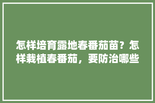 怎样培育露地春番茄苗？怎样栽植春番茄，要防治哪些病害_黑番茄种苗盆栽怎么种植视频 怎样培育露地春番茄苗？怎样栽植春番茄，要防治哪些病害_黑番茄种苗盆栽怎么种植视频 种植技巧