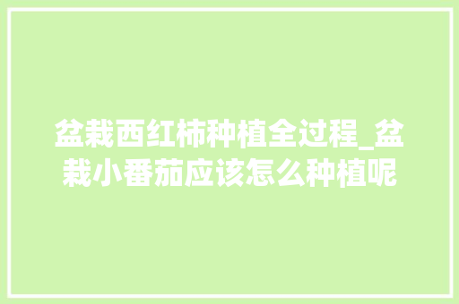 盆栽西红柿种植全过程_盆栽小番茄应该怎么种植呢 盆栽西红柿种植全过程_盆栽小番茄应该怎么种植呢 花朵知识