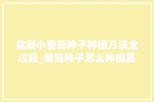 盆栽小番茄种子种植方法全过程_番茄种子怎么种植最好视频 盆栽小番茄种子种植方法全过程_番茄种子怎么种植最好视频 农业常识