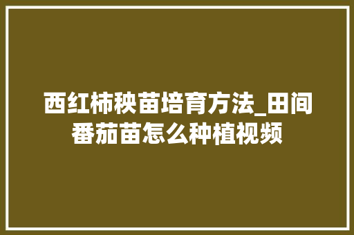 西红柿秧苗培育方法_田间番茄苗怎么种植视频 西红柿秧苗培育方法_田间番茄苗怎么种植视频 植物种类