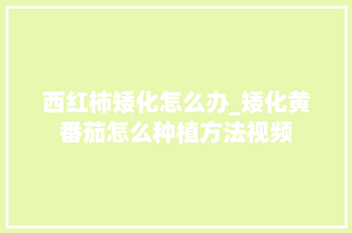 西红柿矮化怎么办_矮化黄番茄怎么种植方法视频