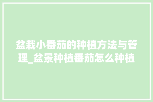 盆栽小番茄的种植方法与管理_盆景种植番茄怎么种植 盆栽小番茄的种植方法与管理_盆景种植番茄怎么种植 番茄种植技巧