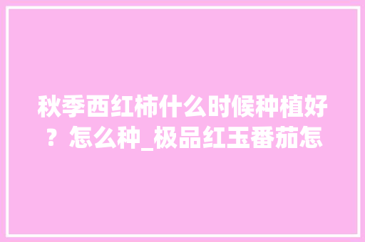 秋季西红柿什么时候种植好？怎么种_极品红玉番茄怎么种植的 秋季西红柿什么时候种植好？怎么种_极品红玉番茄怎么种植的 种植技巧