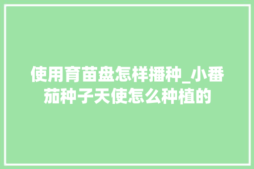 使用育苗盘怎样播种_小番茄种子天使怎么种植的 花朵知识 使用育苗盘怎样播种_小番茄种子天使怎么种植的 使用育苗盘怎样播种_小番茄种子天使怎么种植的 花朵知识