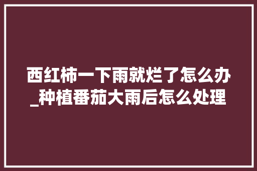 西红柿一下雨就烂了怎么办_种植番茄大雨后怎么处理好 西红柿一下雨就烂了怎么办_种植番茄大雨后怎么处理好 花朵知识