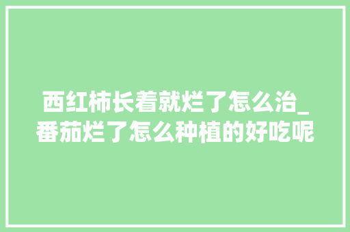 西红柿长着就烂了怎么治_番茄烂了怎么种植的好吃呢 西红柿长着就烂了怎么治_番茄烂了怎么种植的好吃呢 番茄病虫害防治