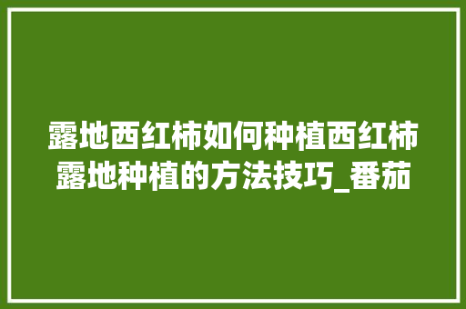 露地西红柿如何种植西红柿露地种植的方法技巧_番茄长在地里怎么种植视频 露地西红柿如何种植西红柿露地种植的方法技巧_番茄长在地里怎么种植视频 花朵知识