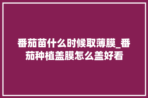 番茄苗什么时候取薄膜_番茄种植盖膜怎么盖好看 番茄病虫害防治 番茄苗什么时候取薄膜_番茄种植盖膜怎么盖好看 番茄苗什么时候取薄膜_番茄种植盖膜怎么盖好看 番茄病虫害防治