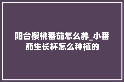阳台樱桃番茄怎么养_小番茄生长杯怎么种植的 阳台樱桃番茄怎么养_小番茄生长杯怎么种植的 种植技巧