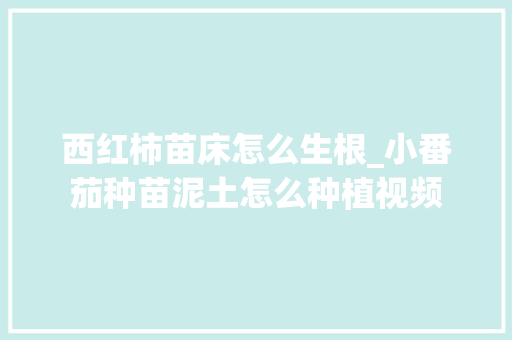 西红柿苗床怎么生根_小番茄种苗泥土怎么种植视频 西红柿苗床怎么生根_小番茄种苗泥土怎么种植视频 农业常识
