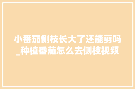 小番茄侧枝长大了还能剪吗_种植番茄怎么去侧枝视频 小番茄侧枝长大了还能剪吗_种植番茄怎么去侧枝视频 土壤施肥