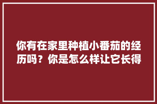 你有在家里种植小番茄的经历吗？你是怎么样让它长得更好的_家庭播种番茄怎么种植视频 你有在家里种植小番茄的经历吗？你是怎么样让它长得更好的_家庭播种番茄怎么种植视频 花朵知识