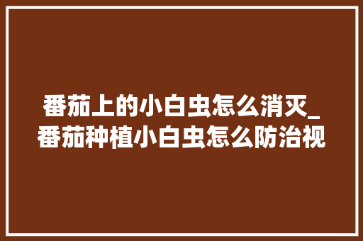 番茄上的小白虫怎么消灭_番茄种植小白虫怎么防治视频