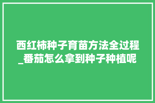 西红柿种子育苗方法全过程_番茄怎么拿到种子种植呢 土壤施肥 西红柿种子育苗方法全过程_番茄怎么拿到种子种植呢 西红柿种子育苗方法全过程_番茄怎么拿到种子种植呢 土壤施肥