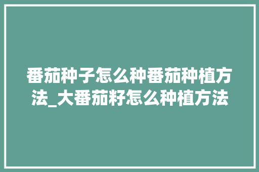 番茄种子怎么种番茄种植方法_大番茄籽怎么种植方法 番茄种子怎么种番茄种植方法_大番茄籽怎么种植方法 番茄病虫害防治
