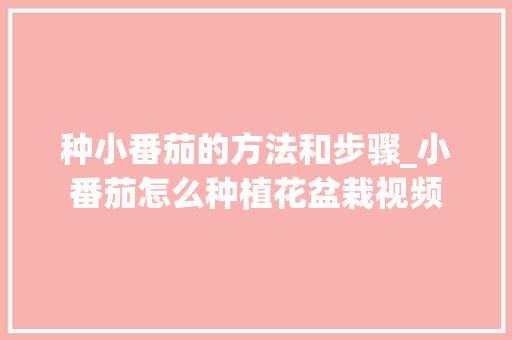种小番茄的方法和步骤_小番茄怎么种植花盆栽视频 种小番茄的方法和步骤_小番茄怎么种植花盆栽视频 番茄病虫害防治