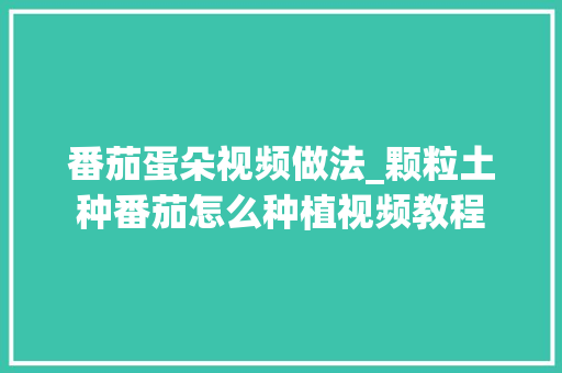 番茄蛋朵视频做法_颗粒土种番茄怎么种植视频教程 番茄蛋朵视频做法_颗粒土种番茄怎么种植视频教程 植物种类