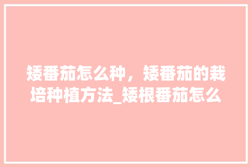 矮番茄怎么种，矮番茄的栽培种植方法_矮根番茄怎么种植视频 矮番茄怎么种，矮番茄的栽培种植方法_矮根番茄怎么种植视频 花朵知识