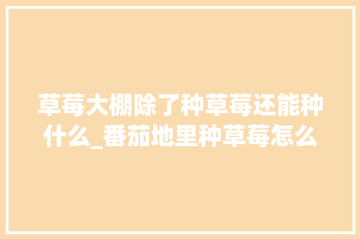 草莓大棚除了种草莓还能种什么_番茄地里种草莓怎么种植视频 草莓大棚除了种草莓还能种什么_番茄地里种草莓怎么种植视频 花朵知识