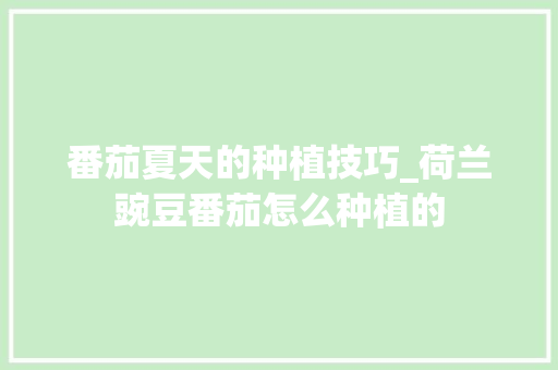 番茄夏天的种植技巧_荷兰豌豆番茄怎么种植的 番茄夏天的种植技巧_荷兰豌豆番茄怎么种植的 农业常识