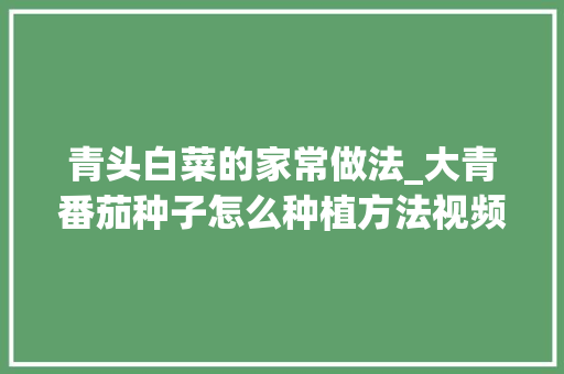 青头白菜的家常做法_大青番茄种子怎么种植方法视频
