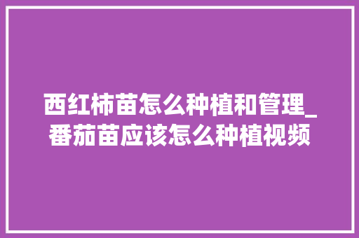 西红柿苗怎么种植和管理_番茄苗应该怎么种植视频 西红柿苗怎么种植和管理_番茄苗应该怎么种植视频 植物种类