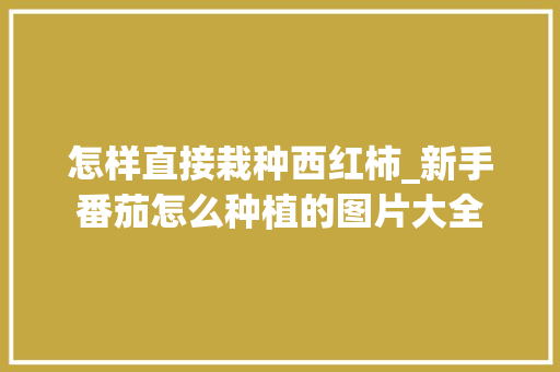 怎样直接栽种西红柿_新手番茄怎么种植的图片大全 怎样直接栽种西红柿_新手番茄怎么种植的图片大全 农业常识
